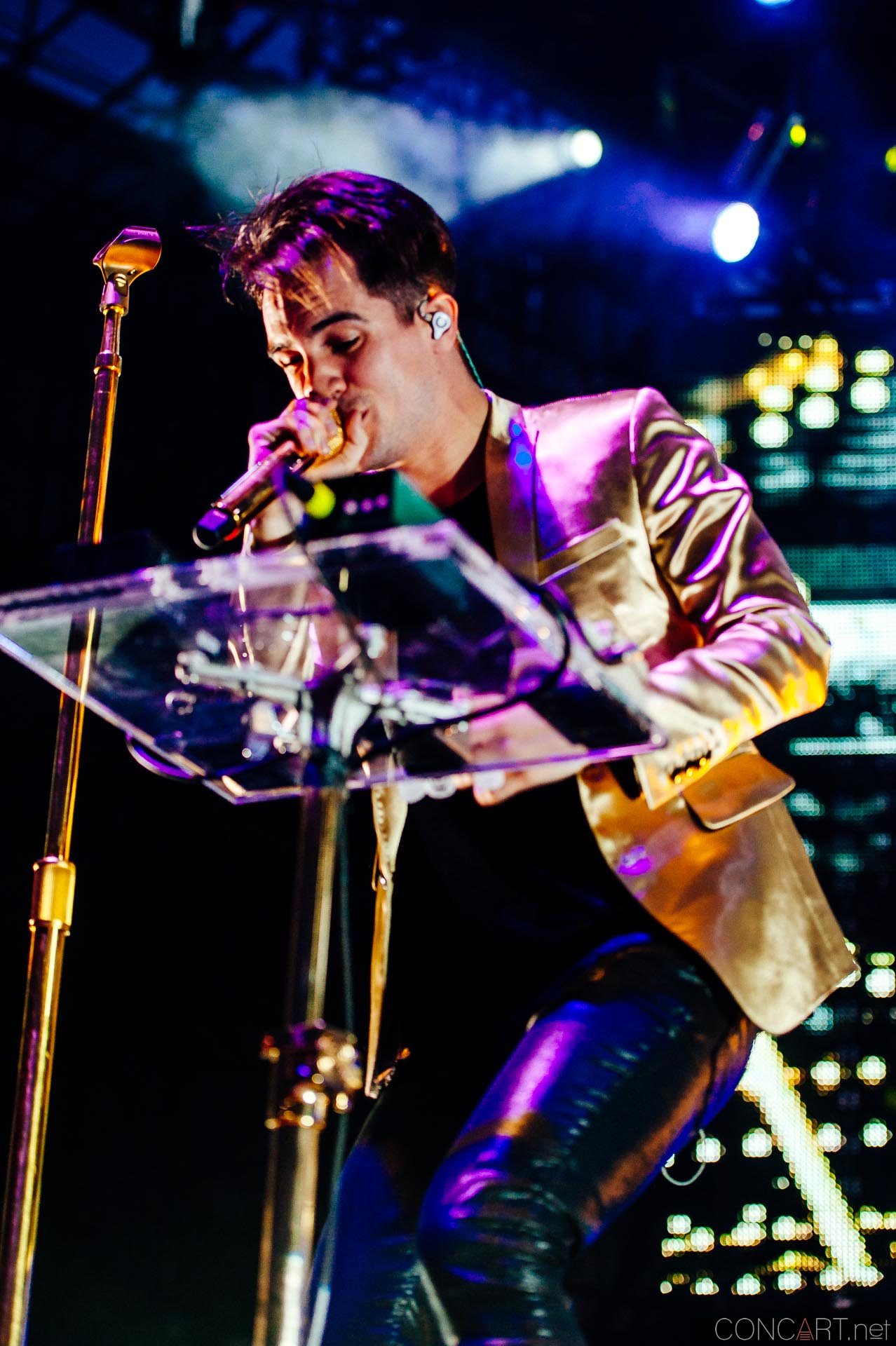 Photo of Brendon Urie Concert Dallon Weekes Farm Bureau Insurance Harrison College Indianapolis Indy Kenneth Harris Live Music Panic at the Disco Spencer Smith The Lawn at White River State Park 33