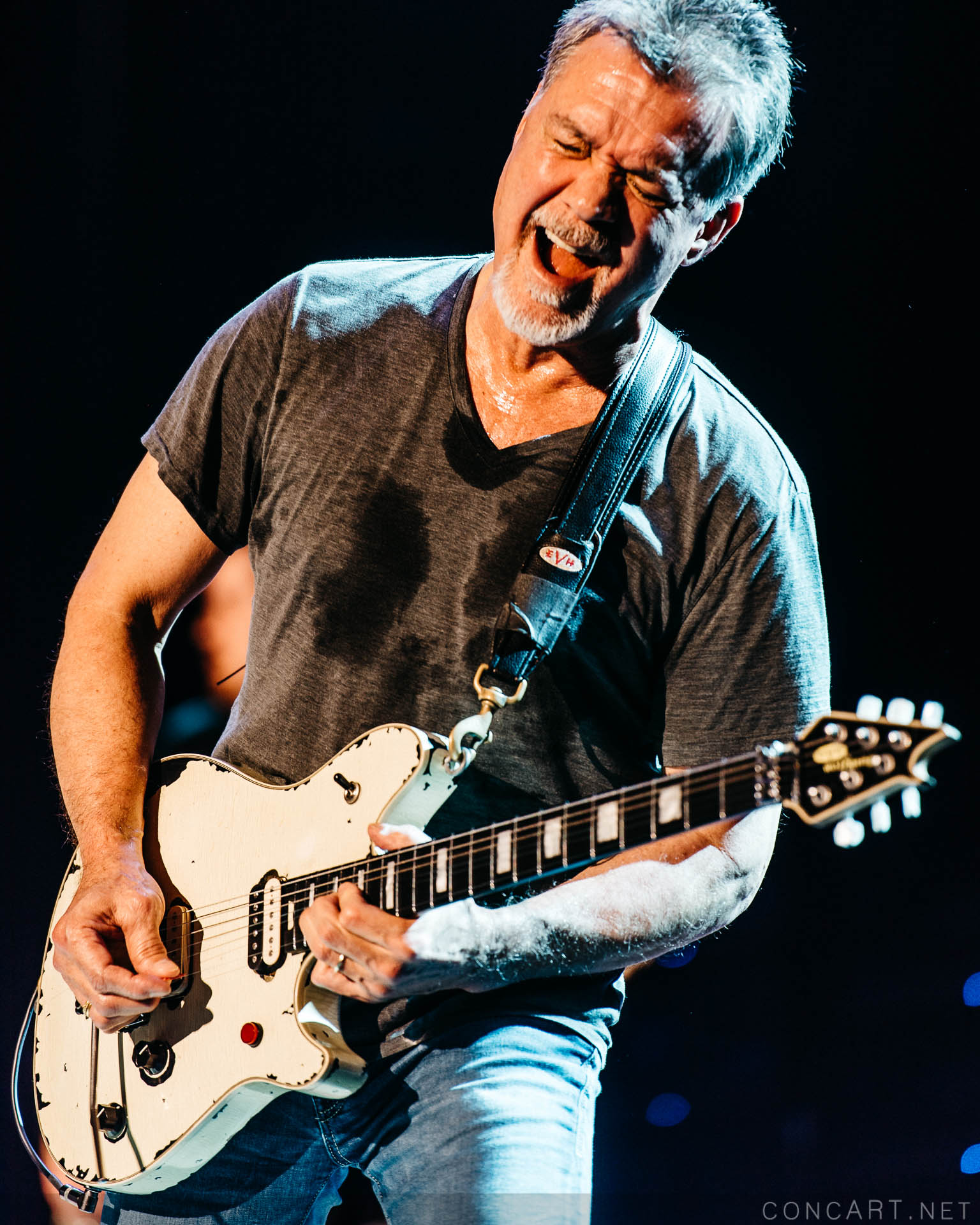 Photo of 2015 Alex Van Halen David Lee Roth Eddie Van Halen EVH Indiana Indianapolis Indy Klipsch Music Center Noblesville Van Halen Vanhalen Wolfgang Van Halen 37