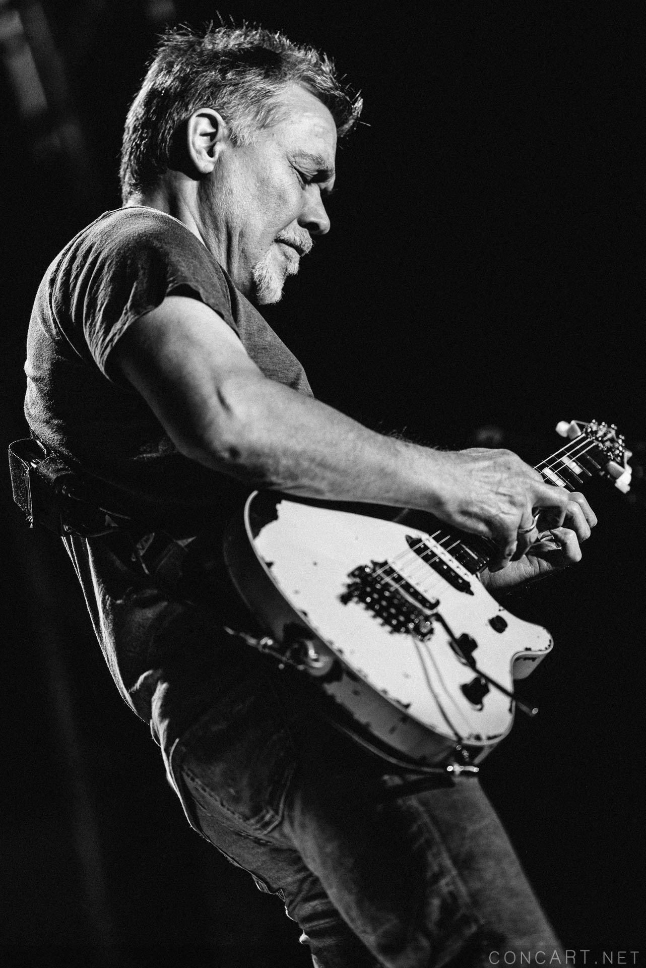 Photo of 2015 Alex Van Halen David Lee Roth Eddie Van Halen EVH Indiana Indianapolis Indy Klipsch Music Center Noblesville Van Halen Vanhalen Wolfgang Van Halen 50