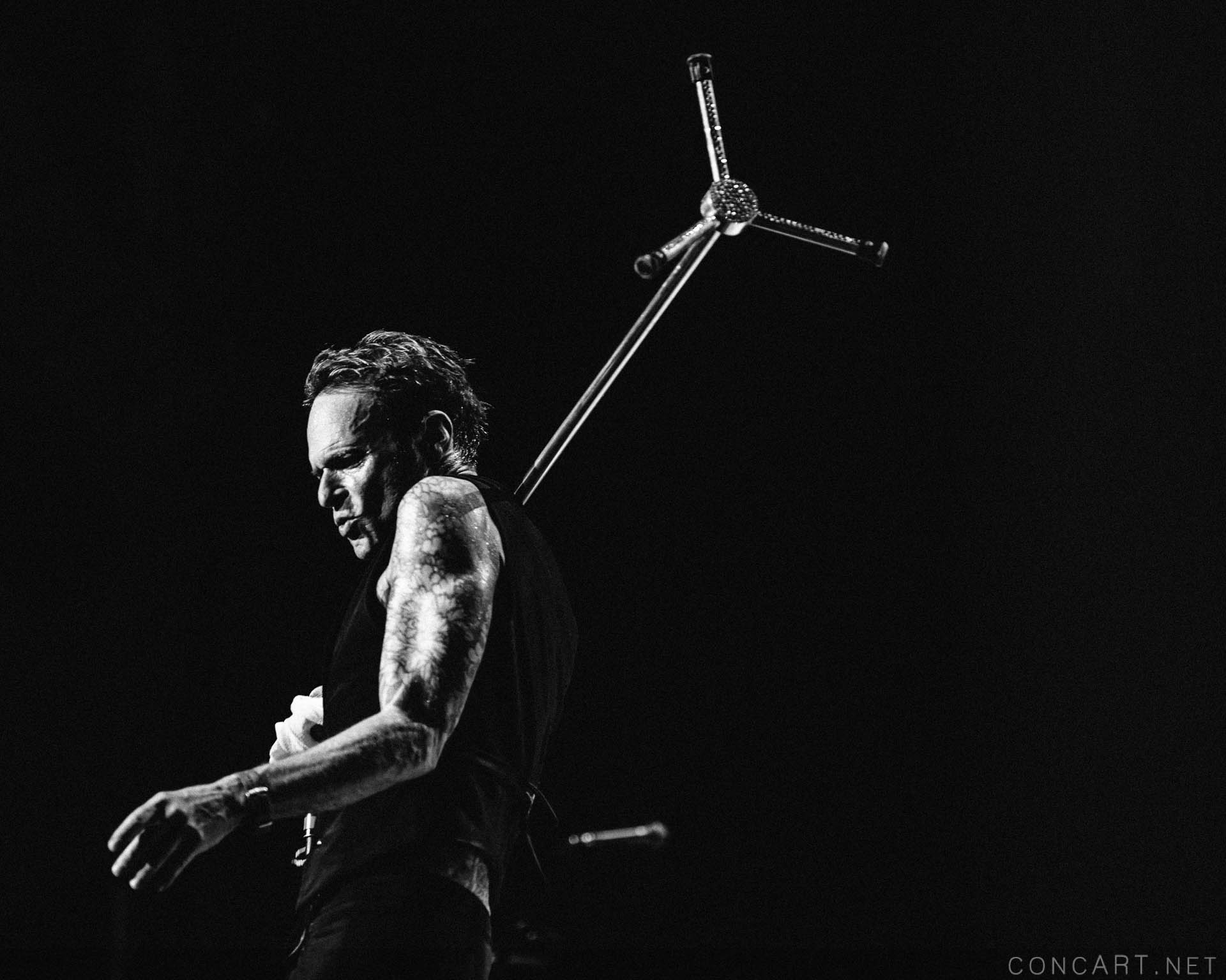 Photo of 2015 Alex Van Halen David Lee Roth Eddie Van Halen EVH Indiana Indianapolis Indy Klipsch Music Center Noblesville Van Halen Vanhalen Wolfgang Van Halen 53