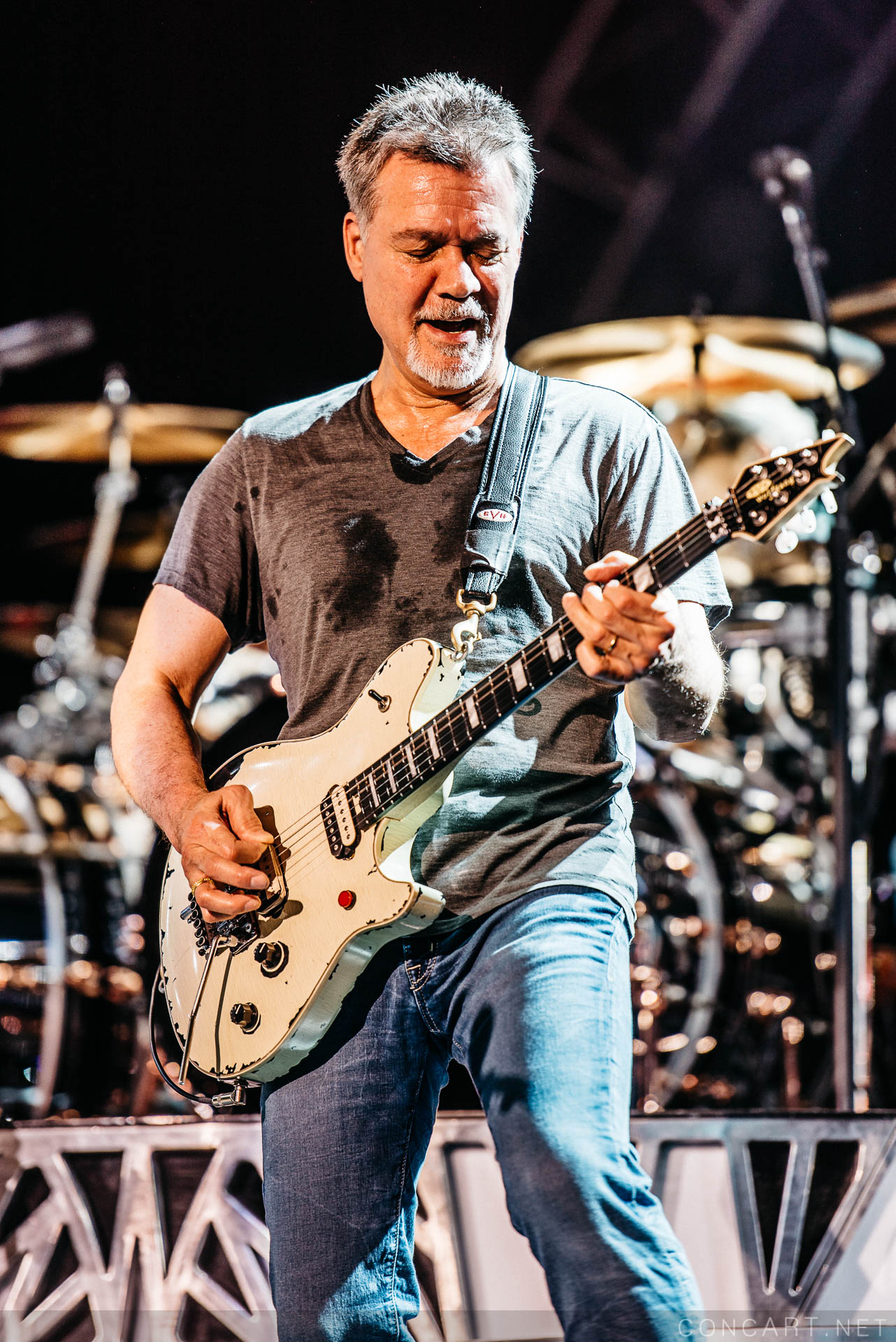 Photo of 2015 Alex Van Halen David Lee Roth Eddie Van Halen EVH Indiana Indianapolis Indy Klipsch Music Center Noblesville Van Halen Vanhalen Wolfgang Van Halen 63