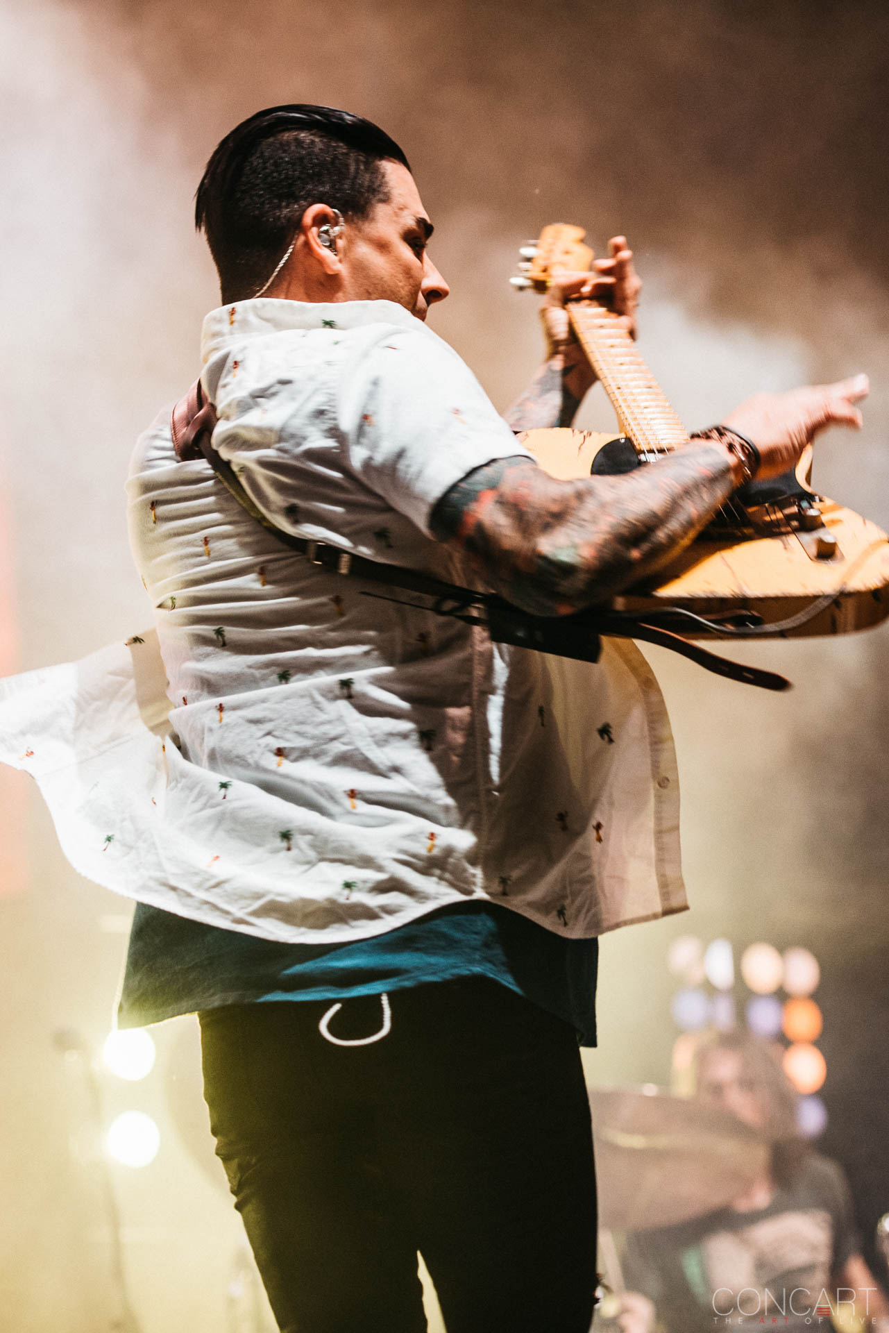 Photo of Chris Carrabba Concert dashboard confessional Emo Farm Bureau Insurance Lawn at White River State Park Indianapolis Indy John Lefler Live Music Metalcore Mike Marsh Pics Scott Schoenbeck Taste of Chaos The Lawn White River State Park WRSP 14