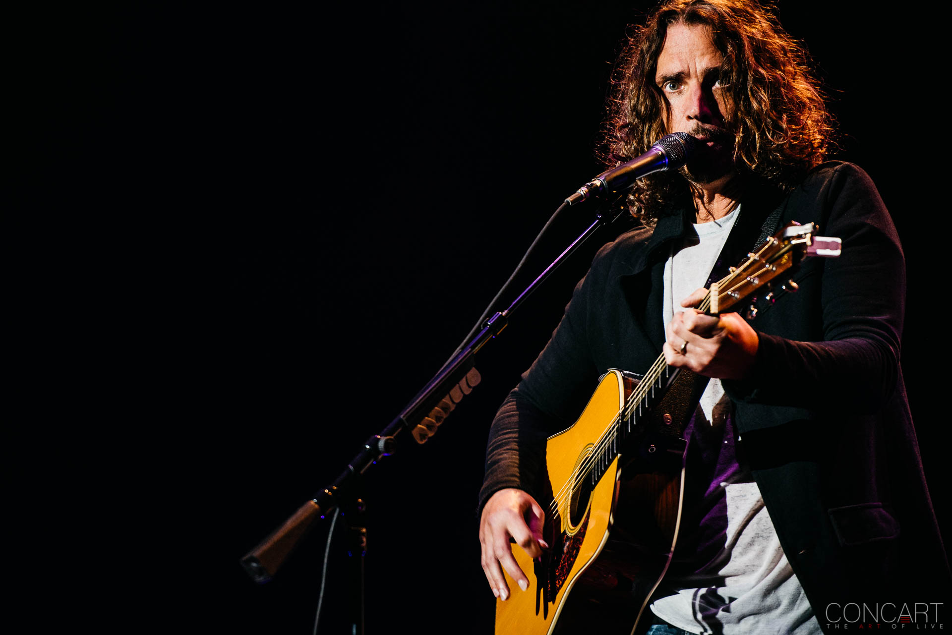 Photo of Audioslave Chris Cornell Concert Higher Truth Tour Indianapolis Indy Live Music Murat Theatre Old National Centre Pics Soundgarden 14