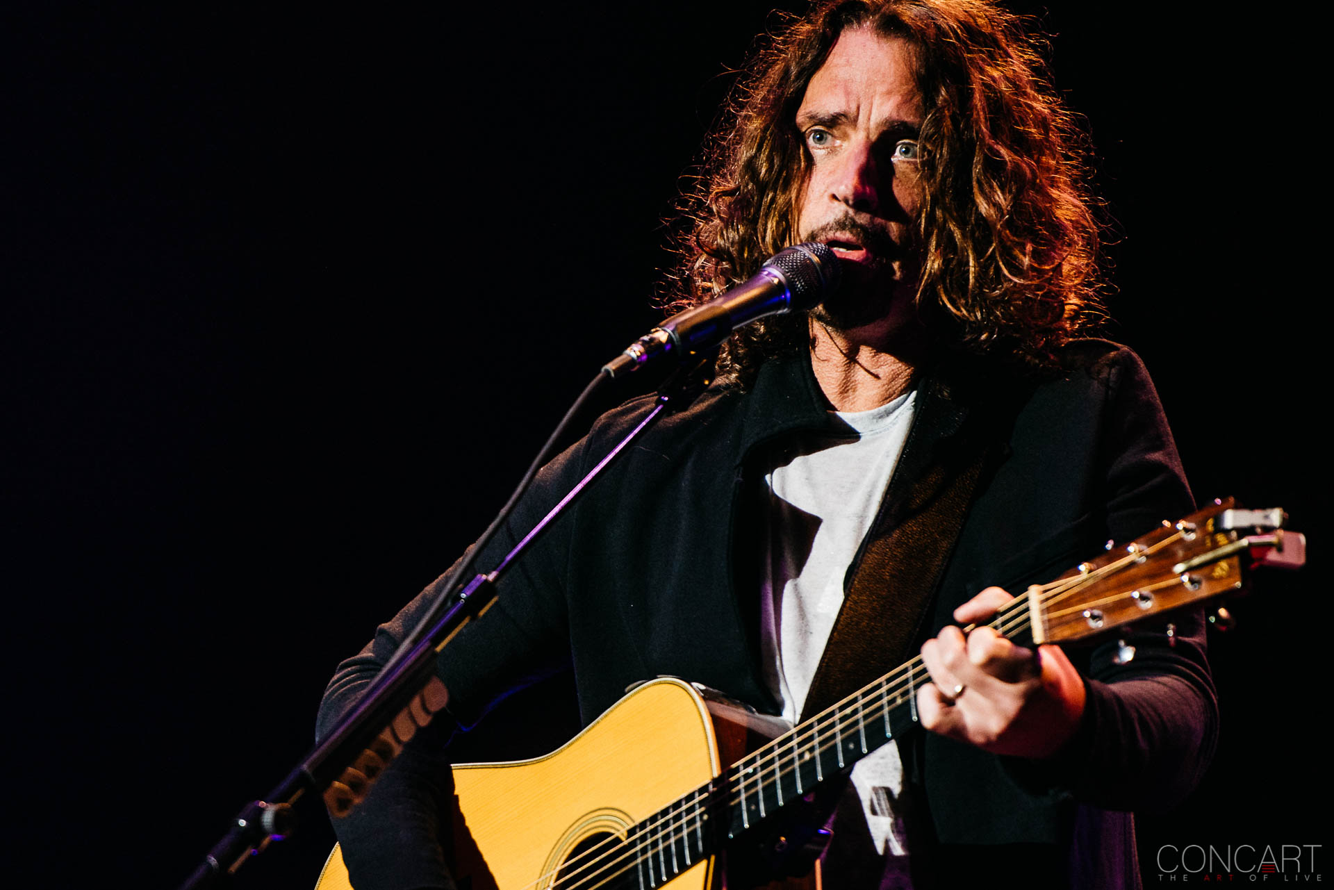 Photo of Audioslave Chris Cornell Concert Higher Truth Tour Indianapolis Indy Live Music Murat Theatre Old National Centre Pics Soundgarden 21