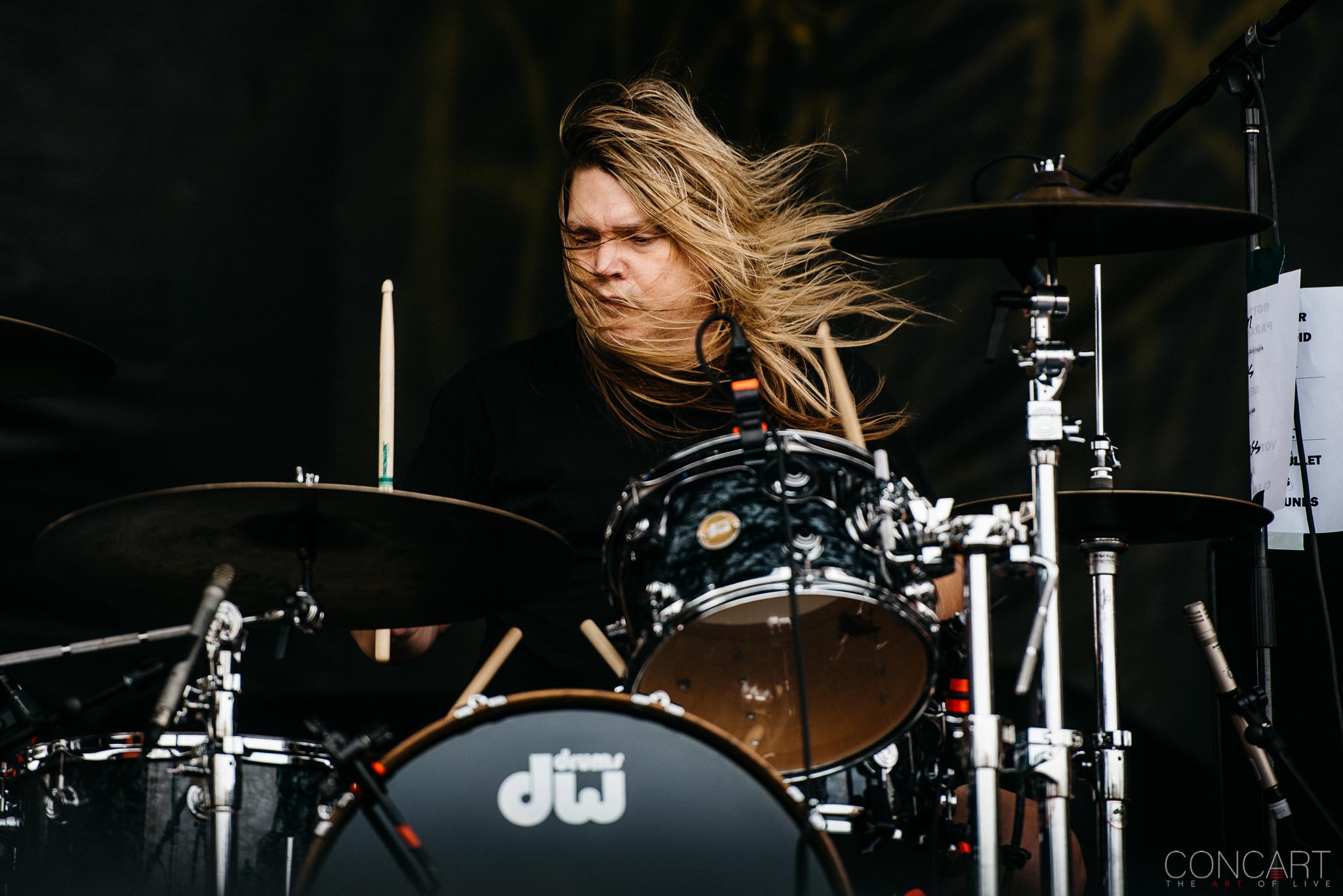 Photo of Chicago Open Air CoC Corrosion of Conformity hardcore Heavy Metal Illinois Metal Mike Dean Pepper Keenan Reed Mullin Rock Toyota Park Woody Weatherman 12