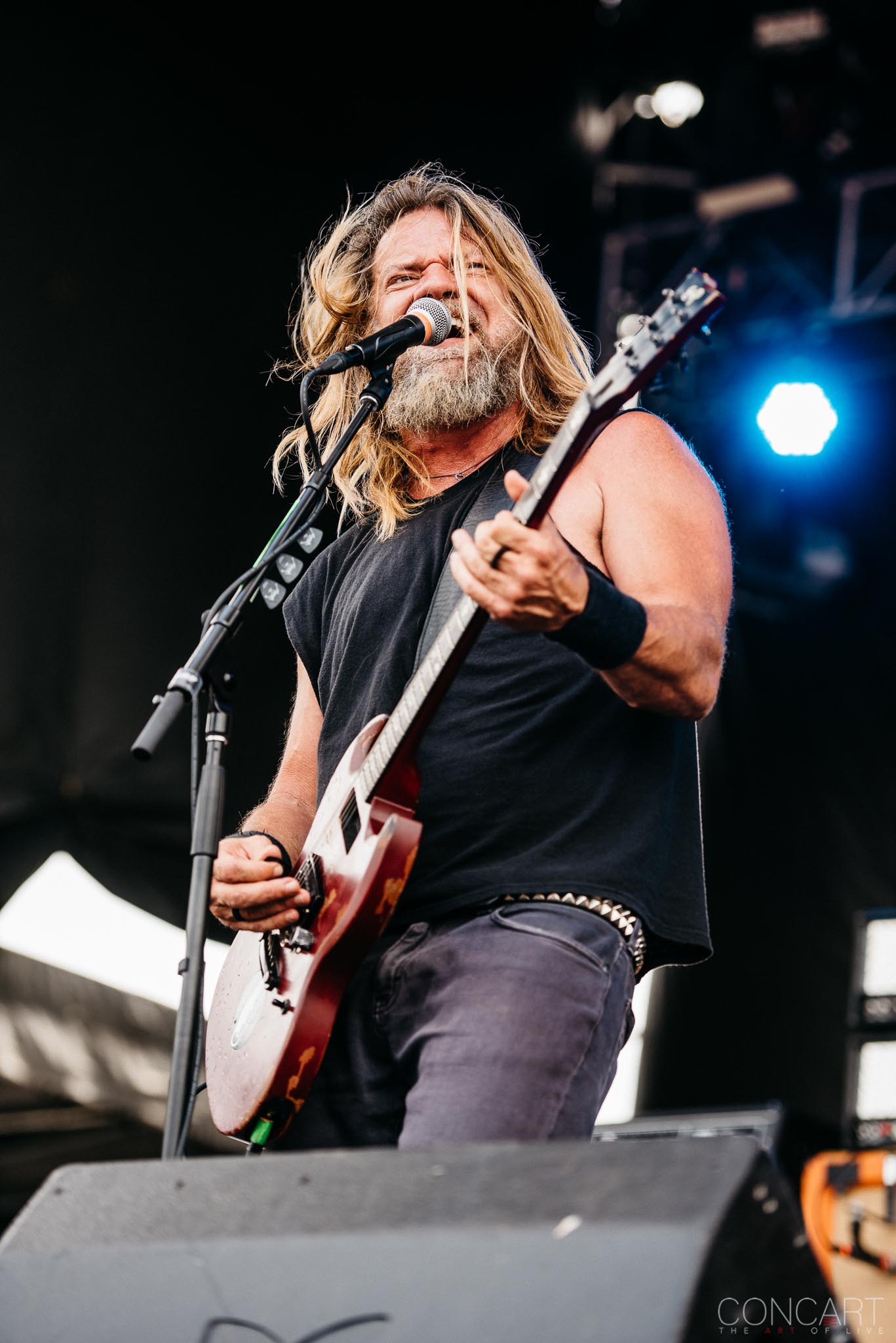 Photo of Chicago Open Air CoC Corrosion of Conformity hardcore Heavy Metal Illinois Metal Mike Dean Pepper Keenan Reed Mullin Rock Toyota Park Woody Weatherman 24