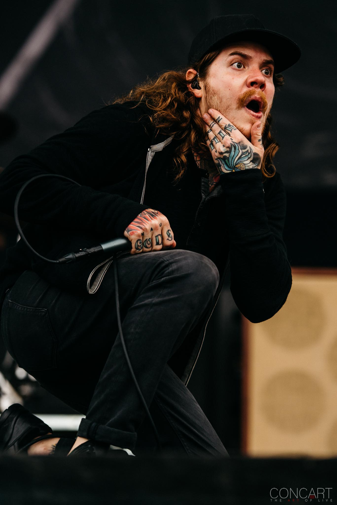 Photo of Adam "Nolly" Getgood Chicago Open Air Concert Hardcore Metal Jake Bowen Live Music Mark Holcomb Mathcore Matt Halpern Misha Mansoor Periphery Progressive Metal Spencer Sotelo 70