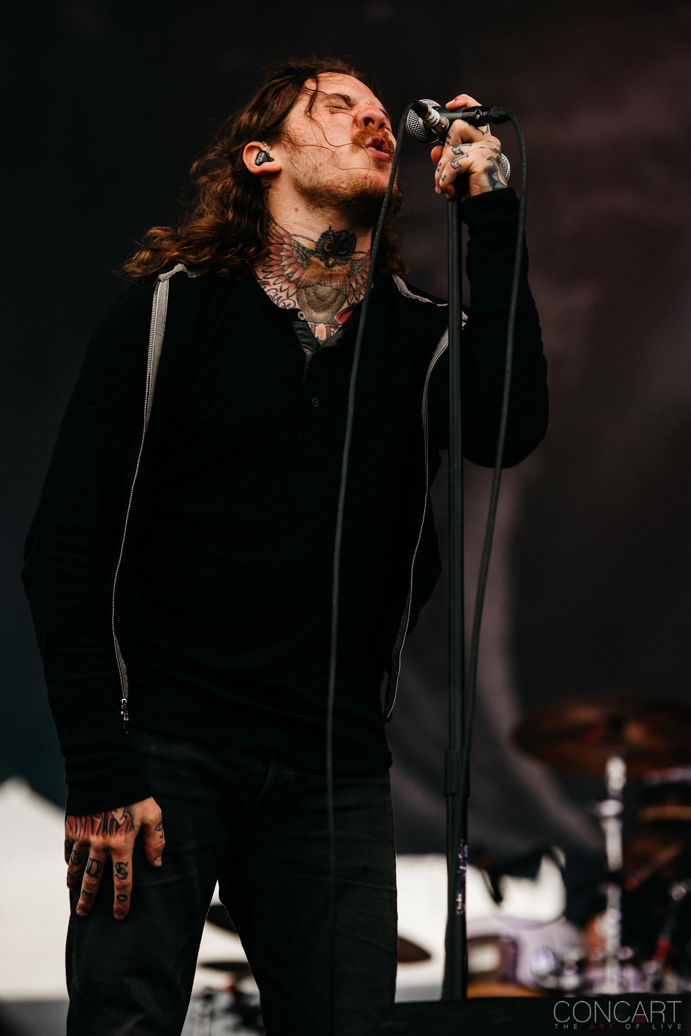 Photo of Adam "Nolly" Getgood Chicago Open Air Concert Hardcore Metal Jake Bowen Live Music Mark Holcomb Mathcore Matt Halpern Misha Mansoor Periphery Progressive Metal Spencer Sotelo 94