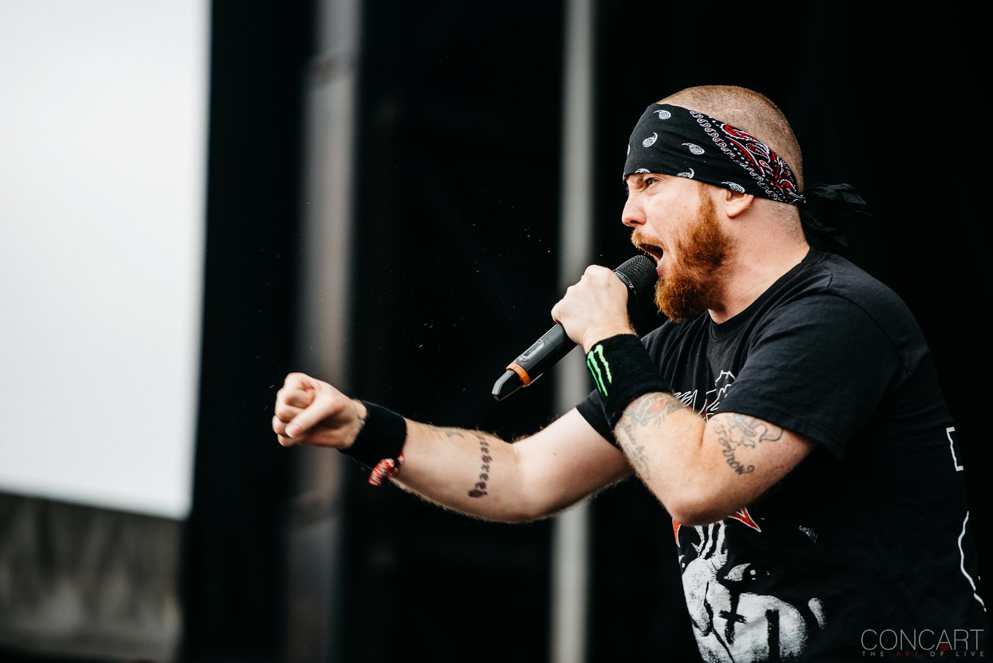 Photo of Bridgeview Chicago Open Air Chris Beattie Concert F. Sean Martin Frank Novinec Hatebreed Illinois Jamey Jasta Live Music Matt Byrne Metal Metalcore Toyota Park 31
