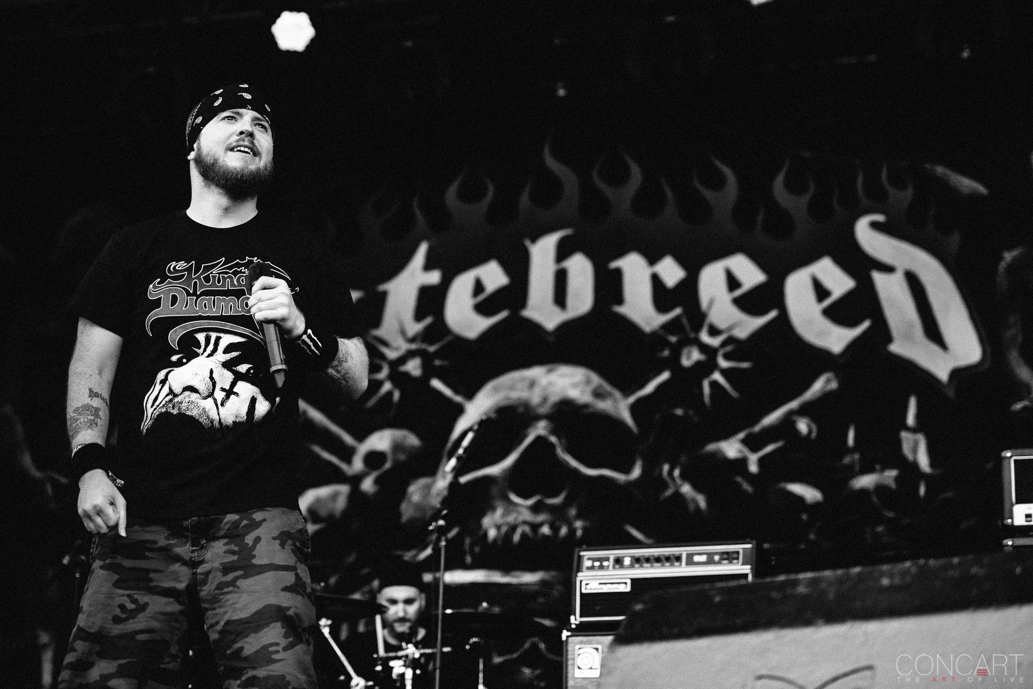 Photo of Bridgeview Chicago Open Air Chris Beattie Concert F. Sean Martin Frank Novinec Hatebreed Illinois Jamey Jasta Live Music Matt Byrne Metal Metalcore Toyota Park 41