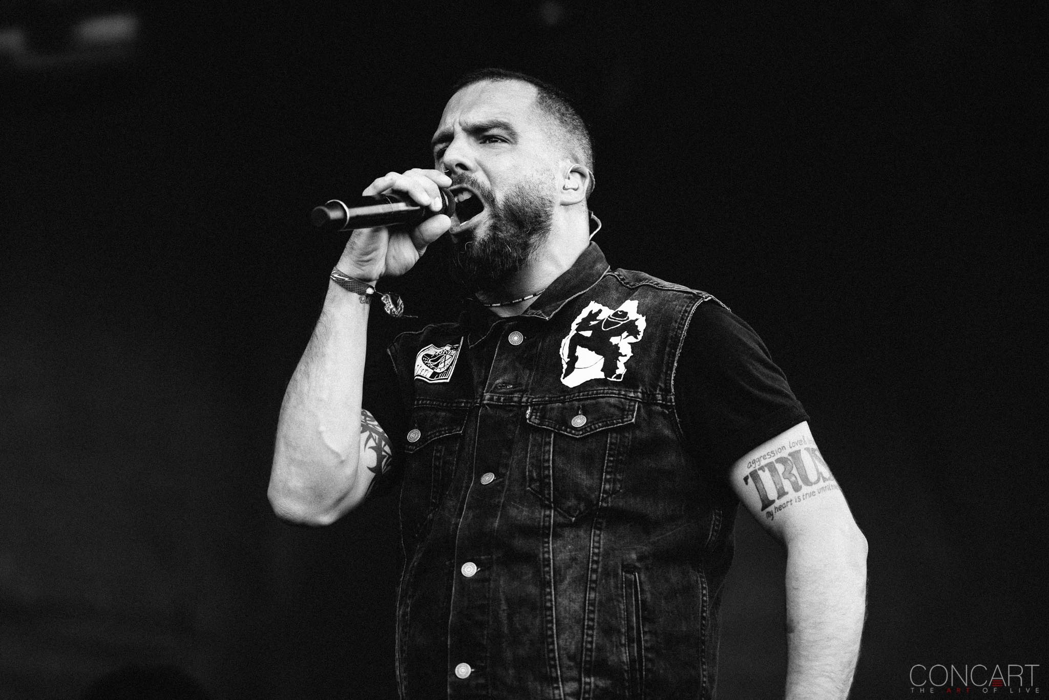 Photo of Chicago Open Air hardcore Heavy Metal Illinois Jesse Leach Joel Stroetzel Adam Dutkiewicz Mike D'Antonio Justin Foley killswitch engage Metal Toyota Park 5