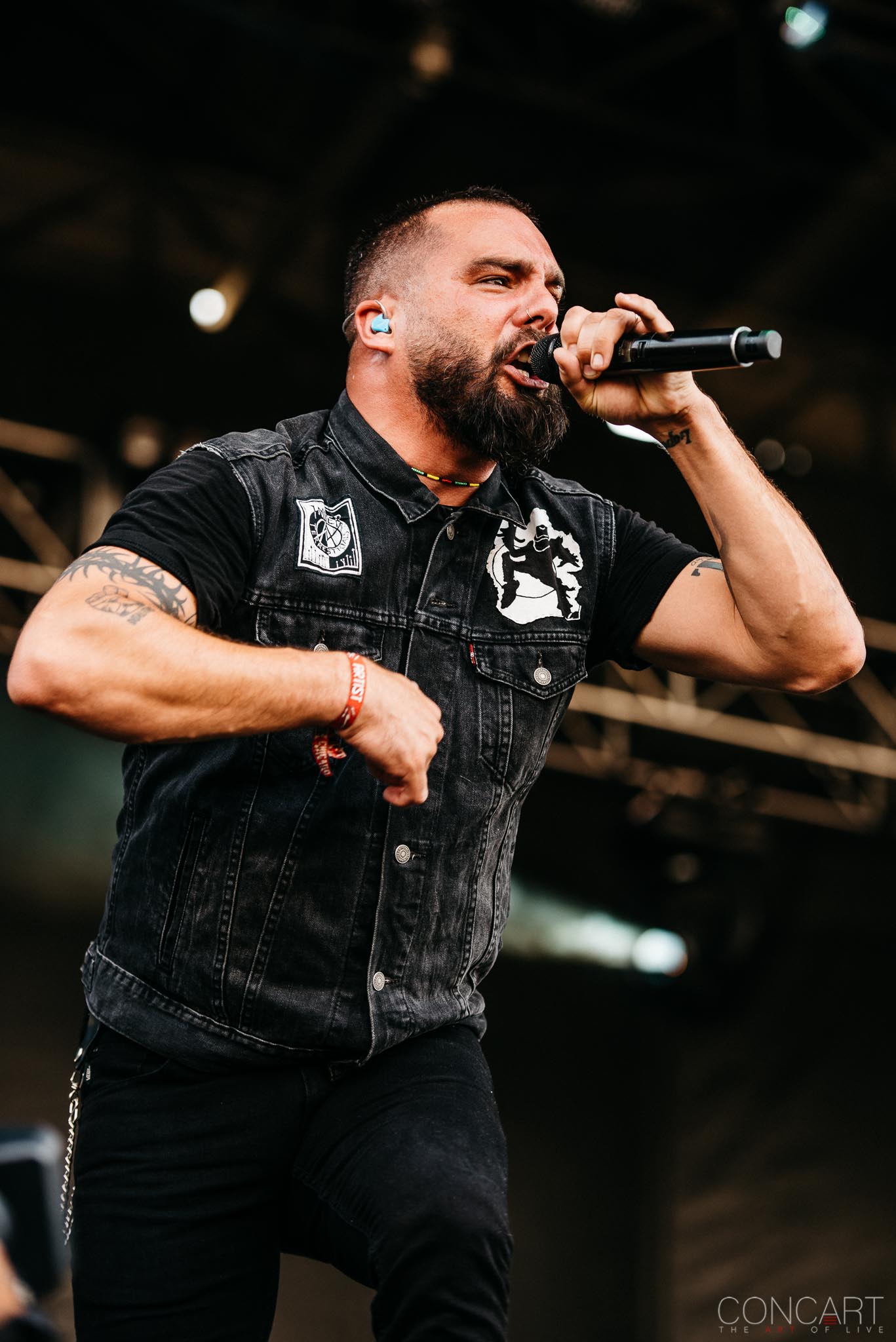 Photo of Chicago Open Air hardcore Heavy Metal Illinois Jesse Leach Joel Stroetzel Adam Dutkiewicz Mike D'Antonio Justin Foley killswitch engage Metal Toyota Park 19