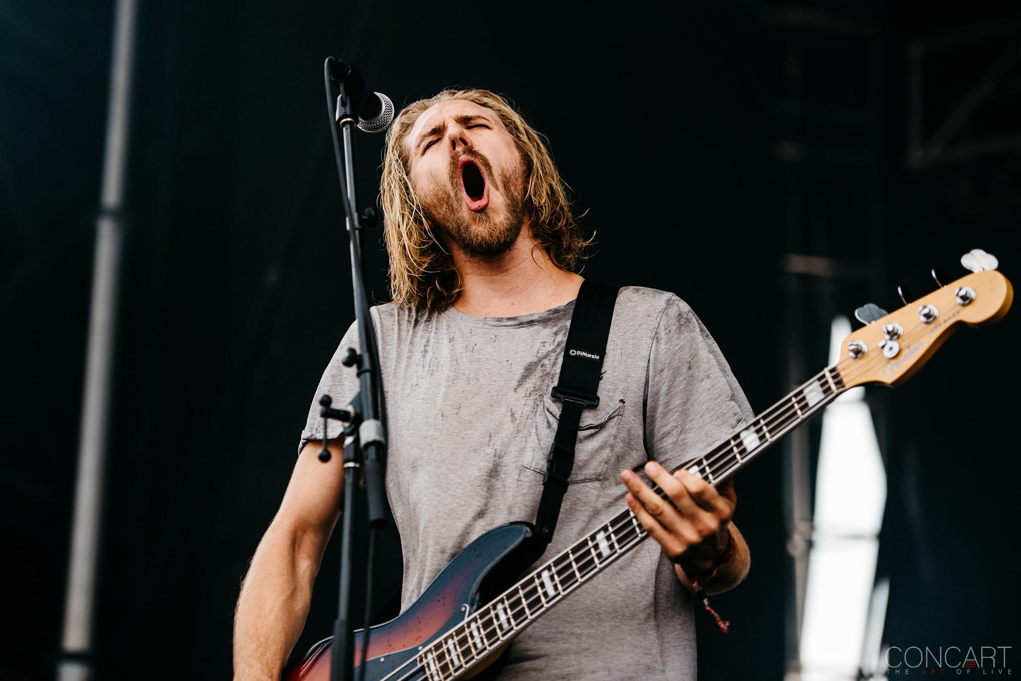 Photo of Andy Glass Chicago Open Air Dave Stephens Eric Choi hardcore Heavy Metal Illinois Joshua Moore Kyle Pavone Lou Cotton Metal Toyota Park WCAR We Came As Romans 1